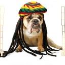 Фотография Fizionomiks