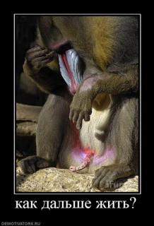 1281453727_922312_kak_dalshe_zhit.jpg