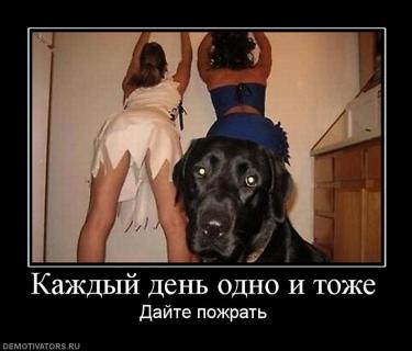 129630_kazhdyij_den_odno_i_tozhe.jpg