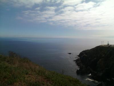 2015.05.29 всякое (97).jpg