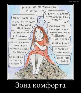 Зона комфорта муравейник.jpg