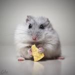 Фотография Black41