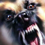 Фотография aggress1ve