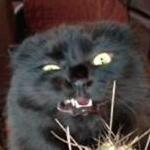 Фотография Гиреев