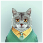 Фотография Сюр