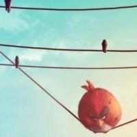 Фотография thisaintscene