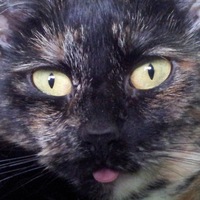 Фотография Алексей_76