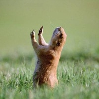 Фотография villyvonke