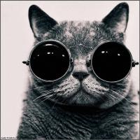 Фотография dendidave