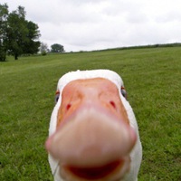 Фотография Артур07