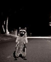 Фотография В.В.