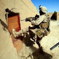 Фотография SenatorJo