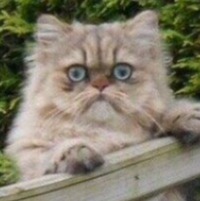 Фотография Дмитрий Белозерский