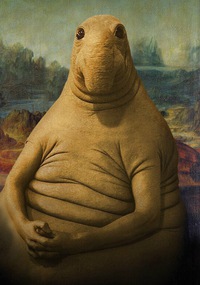 Фотография Ваня Уско