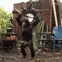 Фотография Антон Зубриков