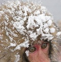 Фотография Ваня Шапкин