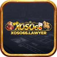 Фотография xoso66lawyer