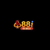 Фотография 88iwales