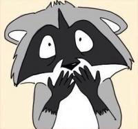 Фотография AMAI.Scamp